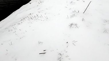 Dağınık dallar ve seyrek bitki örtüsüyle bezenmiş engin karlı bir manzarayı gözler önüne seren sakin, sakin bir kış manzarası.