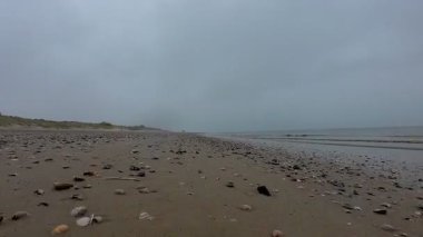 Deniz kabuklarının olduğu sakin bir sahil karamsar bir gökyüzünün altında uzanır, doğal güzellikleri ve sakinliği sergiler.