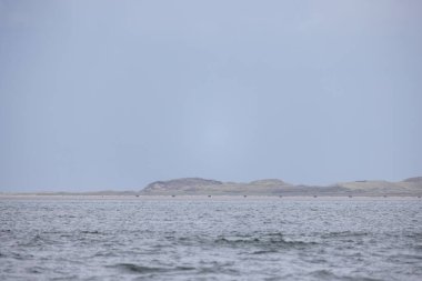 Eierland, De Cocksdorp, Texel, Hollanda, 28 Ekim 2024 sakin suları ve nazik tepeleri olan sakin bir deniz manzarası doğa aşıkları için mükemmeldir.