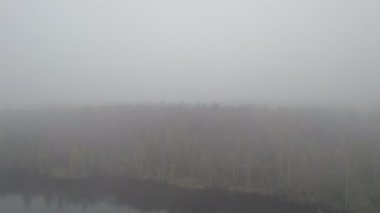 Sakin suların yanında sakin, sisli bir manzara, huzurlu görüntüler ve doğa temalarını keşfetmek için mükemmel.