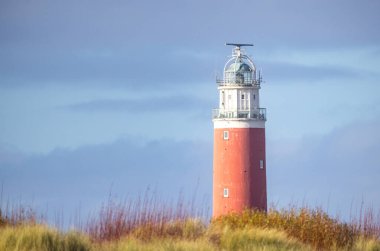 Eierland, De Cocksdorp, Texel, Hollanda, 28 Ekim 2024, büyüleyici güzellikte bir deniz feneri, yemyeşil ile kaplanmış, huzurlu ve sakin bir gökyüzü altında hayranlık uyandıran