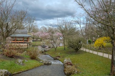 Japon bahçesi, Hasselt, Limburg, Belçika, 19 Nisan 2025, sakin ve huzurlu bir park sahnesinde, yumuşak bir dere, çiçek açan kiraz ağaçları ve yakınlarda sıcak bir toplanma yeri bulunur.