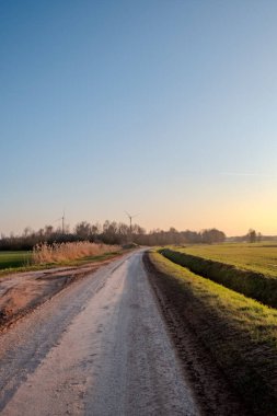 Huzurlu ve huzurlu bir toprak yol gün batımında güzel bir şekilde çekilen gür, canlı tarlalarda usulca esiyor.