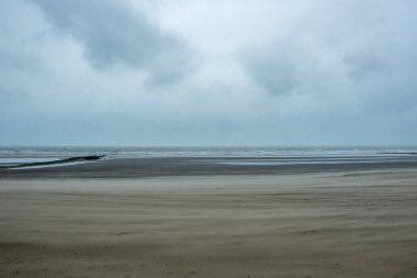 Sakin bir sahil. Hafif dalgalar bulutlu gökyüzünün altında kıyıları sarıyor. Huzur ve sükunet saçıyor.
