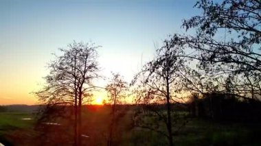 Sakin bir günbatımı sahnesinin güzelliğini yaşayın. Açık alanlara dizilmiş siluetli ağaçlarla süslenmiş.