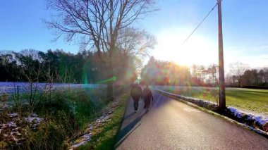 Huzurlu bir kış günbatımı yürüyüşü, huzurlu kırsal bir yolda paylaşılan sıcaklığı ve arkadaşlığı yakalıyor.