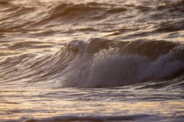 Gün batımında güneşin sıcacık ışığında usulca parlayan yumuşak okyanus dalgalarının huzurlu ve huzurlu görüntüsü.
