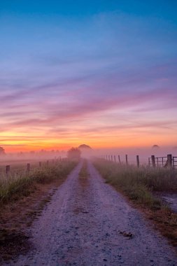 Dönen çakıllı bir yol mistik, sisli bir gündoğumuna götürür, parlak şafak renklerini sergiler