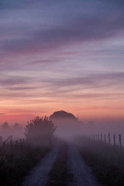 Huzurlu ve sakin bir sahne. Şafak vakti sisli bir patikanın görüntüsü. Huzurlu bir sabah güzelliğinin vücut bulmuş hali.