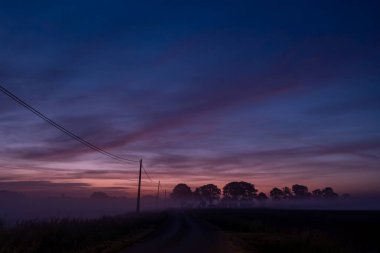Fogladen bir yolu aydınlatan canlı renklerle ve ağaçların siluetiyle güzel, sakin bir şafak sahnesi.