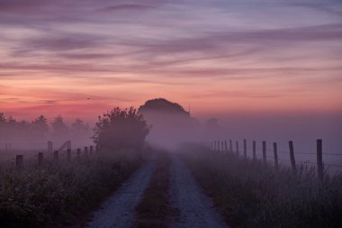 Canlı doğada sisli bir yol, gün doğumuyla aydınlanıyor, biri yürürken sakin ve içgözlem yapıyor.