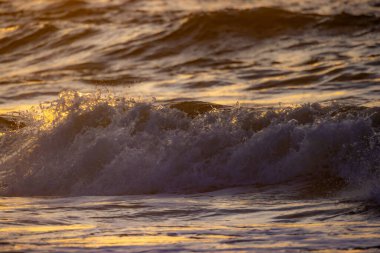 Çarpıcı, detaylı bir yakın plan okyanus dalgaları gün batımında altın güneş ışığını çok güzel yansıtıyor.
