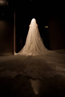 Çekici bir gelin zarif bir şekilde karanlık bir koridorda duruyor, zarif duvağını zarif bir şekilde sergiliyor.