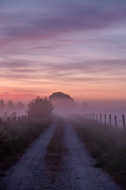 Dönen çakıllı bir yol, gün doğumunda gizemli ve sisli bir araziye çıkar. Derin huzur ve sükuneti çağrıştırır.