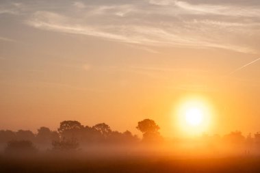 Huzurlu bir gün doğumu, doğanın temaları ve dinginliği için ideal güzel, sisli bir manzarayı nazikçe aydınlatıyor.