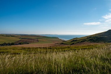 Cap Blanc-Nez, Escalles, Pas-de-Calais, Hauts-de-France, Fransa, 29 Temmuz 2025, yemyeşil, yemyeşil tarlalar, tamamen açık mavi gökyüzünün altında okyanusları nazikçe karşılıyor.