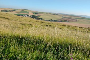 Cap Blanc-Nez, Escalles, Pas-de-Calais, Hauts-de-France, Fransa, 29 Temmuz 2025 güneşli bir günde yemyeşil tepelerin ve canlı tarım alanlarının nefes kesen manzarası, gözlerimizi kamaştırıyor.