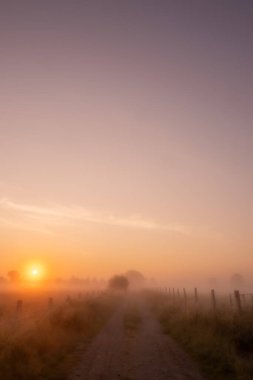 Güzel bir gün doğumunun sakin ve huzurlu bir sahnesi gözlerden uzak kırsal bir yoldaki yoğun sisin içinden yavaş yavaş kırılıyor.