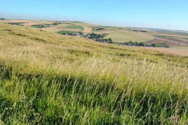 Cap Blanc-Nez, Escalles, Pas-de-Calais, Hauts-de-France, Fransa, 29 Temmuz 2025, nefes kesen bir manzara sergilenen yemyeşil, yuvarlanan çimenli tepeler güzel, açık mavi bir gökyüzü altında.
