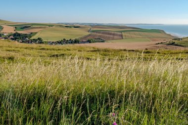 Cap Blanc-Nez, Escalles, Pas-de-Calais, Hauts-de-France, Fransa, 29 Temmuz 2025, kayan tepelerin nefes kesen ve görkemli manzarasını ve berrak mavi gökyüzü altındaki çarpıcı kıyı şeridini tecrübe edin.