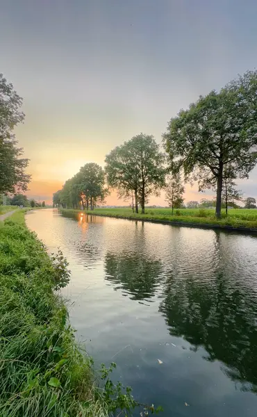 Sakin bir nehir serin bir atmosferdeki yemyeşil ağaçlar tarafından çerçevelenmiş çarpıcı bir günbatımının güzelliğini yakalar.