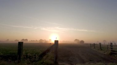 Güzel bir gün doğumu sisli tarlaların üzerine sıcak bir ışık saçar. Huzurlu bir sabah manzarası yaratır.