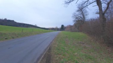 Yeşil tarlalar ve yumuşak gri gökyüzünün altındaki uzun ağaçlarla çevrili sakin bir kır yolunda yürü.