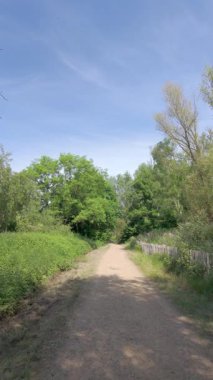Hareketli ağaçları ve parlak mavi gökyüzü olan sakin bir yürüyüş yolu huzurlu ve rahatlatıcı yürüyüşler için idealdir.