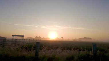 Sis kaplı bir çiftlikte sakin ve sakin bir şafak doğanın güzelliğini ve sükunetini görkemli bir şekilde sergiliyor.