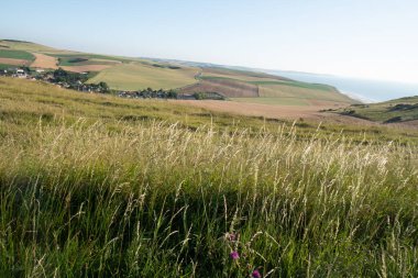 Cap Blanc-Nez, Escalles, Pas-de-Calais, Hauts-de-France, Fransa, 29 Temmuz 2025, yuvarlanan yeşil tepelerin nefes kesici ve huzurlu manzarası çarpıcı bir berrak gökyüzü ve uzak bir kıyı şeridi ile çarpışıyor.
