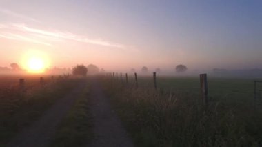 Huzurlu ve huzurlu bir gün doğumu sisli bir manzarayı aydınlatıyor. Ağaçlarla dolu ve dolambaçlı bir yol.