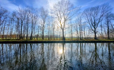 Güzel ağaçlar, yukarıdaki parlak ve açık mavi gökyüzünün altındaki sakin bir nehre güzel bir şekilde yansıyor.