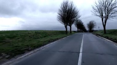 Doğada dolambaçlı, çıplak ağaçlarla çevrili ve yukarıdaki yumuşak, bulutlu gökyüzünün altında uzanan huzurlu bir yol.