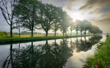Sakin bir nehir manzarasında, sakin mavi sularda yansıyan canlı ağaçlar güzel bir gündoğumu altında.
