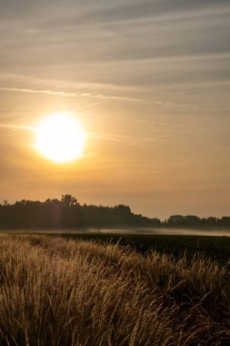 Sakin kırsal bir manzarayı aydınlatan nefes kesici bir gün doğumu doğanın harikalarını güzel bir şekilde gösteriyor.