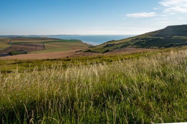 Cap Blanc-Nez, Escalles, Pas-de-Calais, Hauts-de-France, Fransa, 29 Temmuz 2025, uçsuz bucaksız mavi bir gökyüzünün altında kusursuz bir şekilde okyanusla buluşan yumuşak, çarpıcı bir manzara.