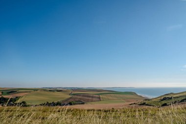Cap Blanc-Nez, Escalles, Pas-de-Calais, Hauts-de-France, Fransa, 29 Temmuz 2025, kendinizi canlı tarlalara ve sakin kıyı sularına bırakın nefes kesen berrak mavi gökyüzünün altında