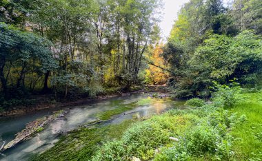 Bergnicourt, Rethel, Ardennes, Grand-Est, Fransa, 28 Ağustos 2025, sakin bir nehir canlı yeşillikler ve çarpıcı manzaralarla çevrili.
