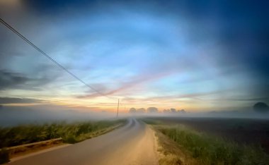 Sakin bir yol yoğun sisli bir şafakta kayboluyor, yemyeşil ve yumuşak pastel renklerle çevrili.