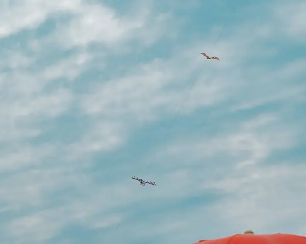 Tiefansicht Von Drachen Die Der Luft Gegen Den Schönen Wolkenverhangenen — Stockfoto