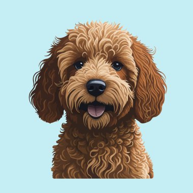Golden Doodle Köpeği. Sade bir arka planda izole edilmiş bir köpeğin renkli görüntüsü. Köpek portresi, Vektör illüstrasyonu