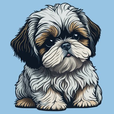 Shih Tzu köpeğinin sade bir arka planda izole edilmiş şirin bir tasviri. Çıkartma tasarımı.