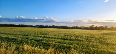 Batan güneşle aydınlanan tarlalar, İspanya kırsalında sakin bir akşam..