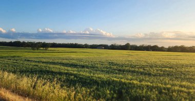 Batan güneşle aydınlanan tarlalar, İspanya kırsalında sakin bir akşam..