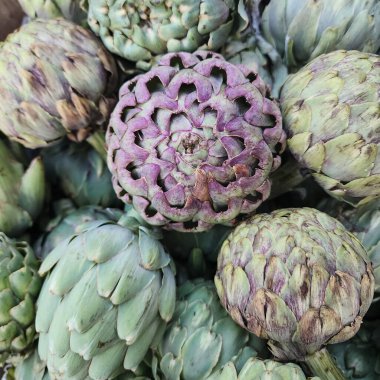 Enginar, yiyecek olarak yetiştirilmiş devedikeni çeşitliliği. Enginardan arkaplan.