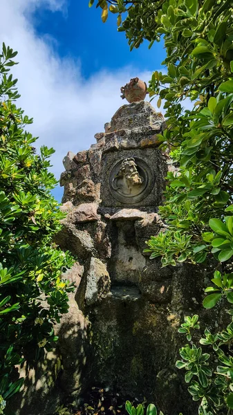 A small fountain with stone carvings among plants. Bas-relief of a man's head in antique style. Catalonia,  Spain,  Sant Pere del Bosch.