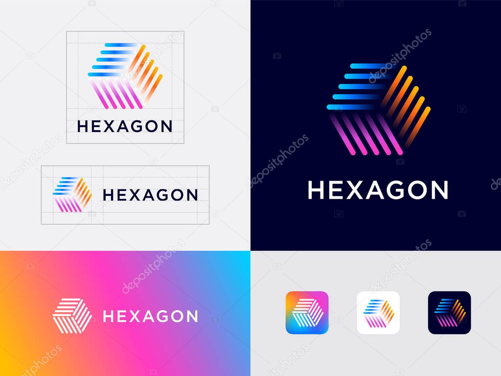 Hexagon logo and Identity. Geometric form consists of thin color elements. Abstract Box.