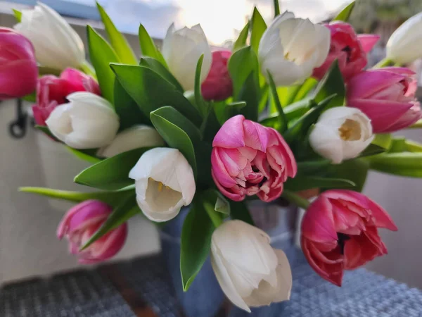 Bukiet Białych Różowych Tulipanów Świeżość Wiosennych Kwiatów — Zdjęcie stockowe