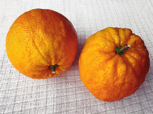 Zwei Ungleichmäßige Saftige Orangen Auf Einer Weißen Leinentischdecke Nahaufnahme — Stockfoto