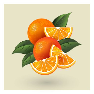 Sulu portakal meyveleri. Vektör çizimi. Tam meyve, portakal parçaları ve biraz yaprak. Taze tatlı.